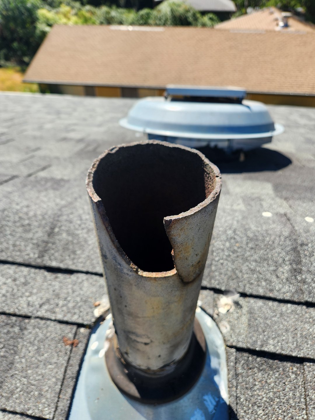 Pest problems for your pipes? Innovative resolution and repair by Micks Plumbing!