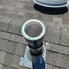 Pest-problems-for-your-pipes-Innovative-resolution-and-repair-by-Micks-Plumbing 1